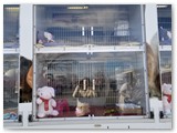 Loudoun County Animal Services Adoption Bus